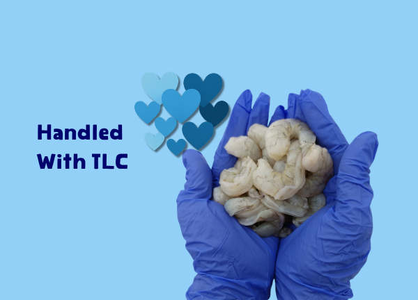 Handled with TLC